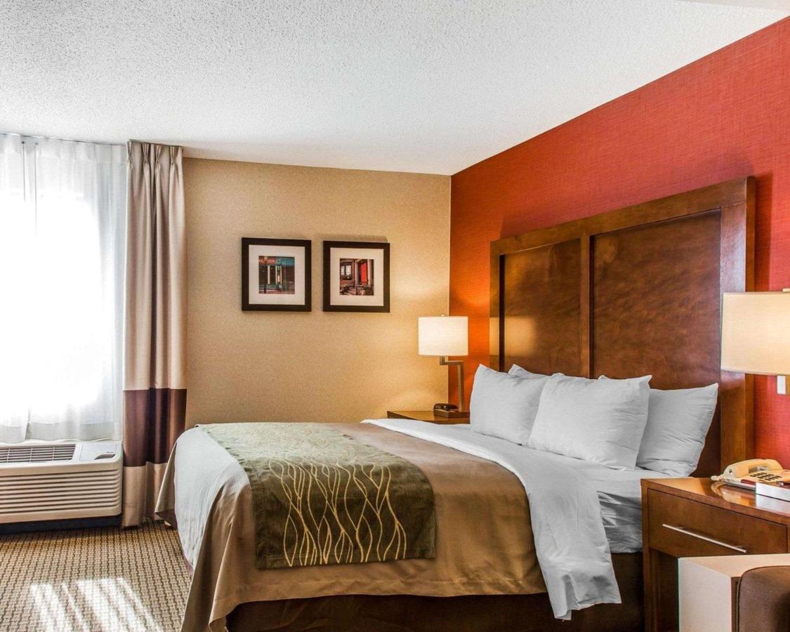 habitacion cama doble hotel comfort inn boston