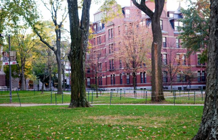 Harvard Yard en Cambridge es la parte más antigua del campus de la Universidad de Harvard.