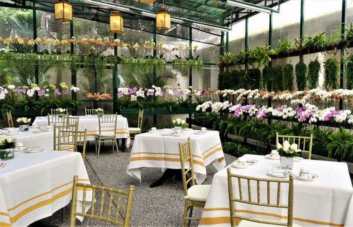 Experimente el té en el famoso invernadero de orquídeas Majestic Hotel de Kuala Lumpur.