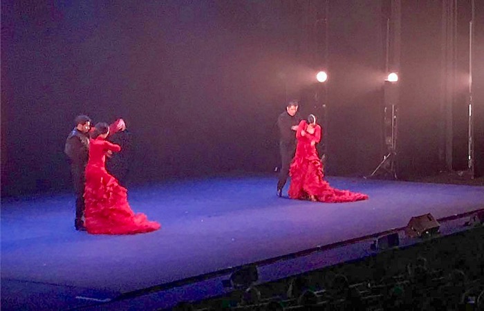 Dónde ver un espectáculo de flamenco en Madrid