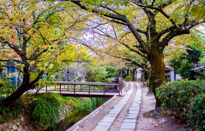 Philosopher's Path es un popular escape peatonal en Kioto, Japón