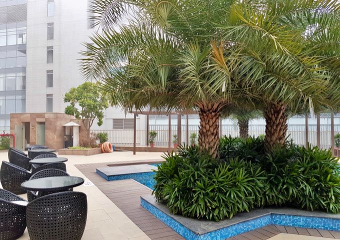 La piscina del hotel está rodeada de palmeras tropicales.