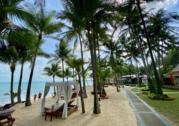 Camas de playa y tumbonas en una playa soleada bordeada de palmeras y bungalows