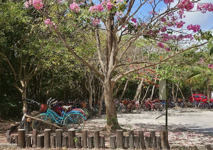 Estacionamiento de bicicletas en las ruinas de Tulum