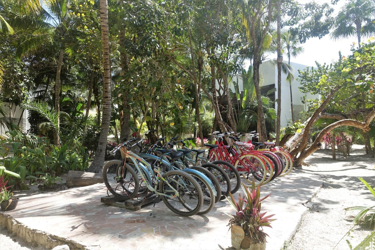 bicicletas de hotel