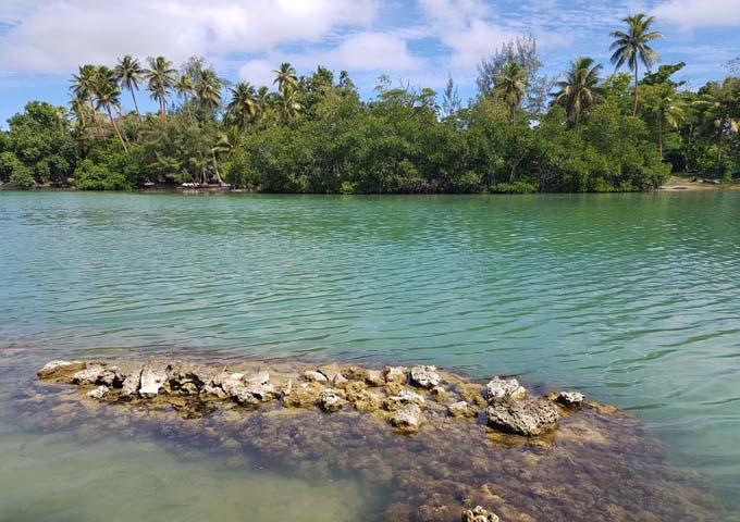 La laguna es como un río con manglares y no es apta para nadar.