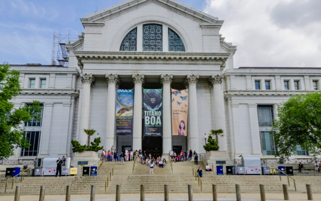 Visitar el Museo Smithsonian de Historia Natural con niños