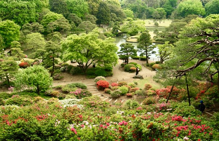 Jardín Rikugien en el norte de Tokio