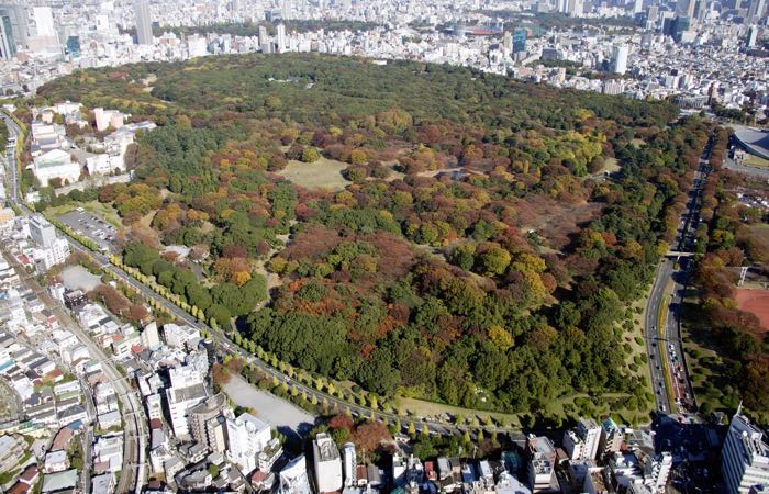 Yoyogi Park es un espacio verde de 133 acres en el centro de Tokio.