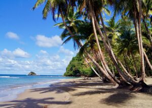 La mejor playa de Dominica.