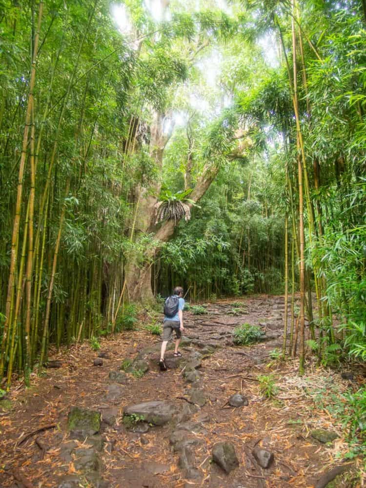 Simon caminando por un bosque de bambú en el sendero Pipiwai cerca de Hana, Maui